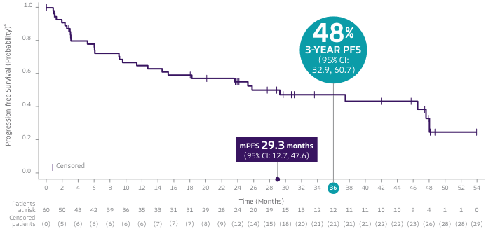 Graph showing 48% progression-free at 3 years.