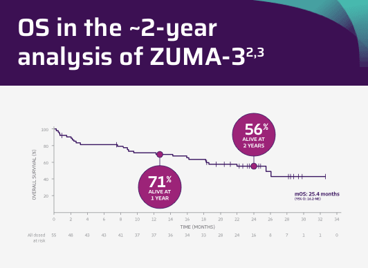 Chart showing that 46% of the participants were alive at 3 years.