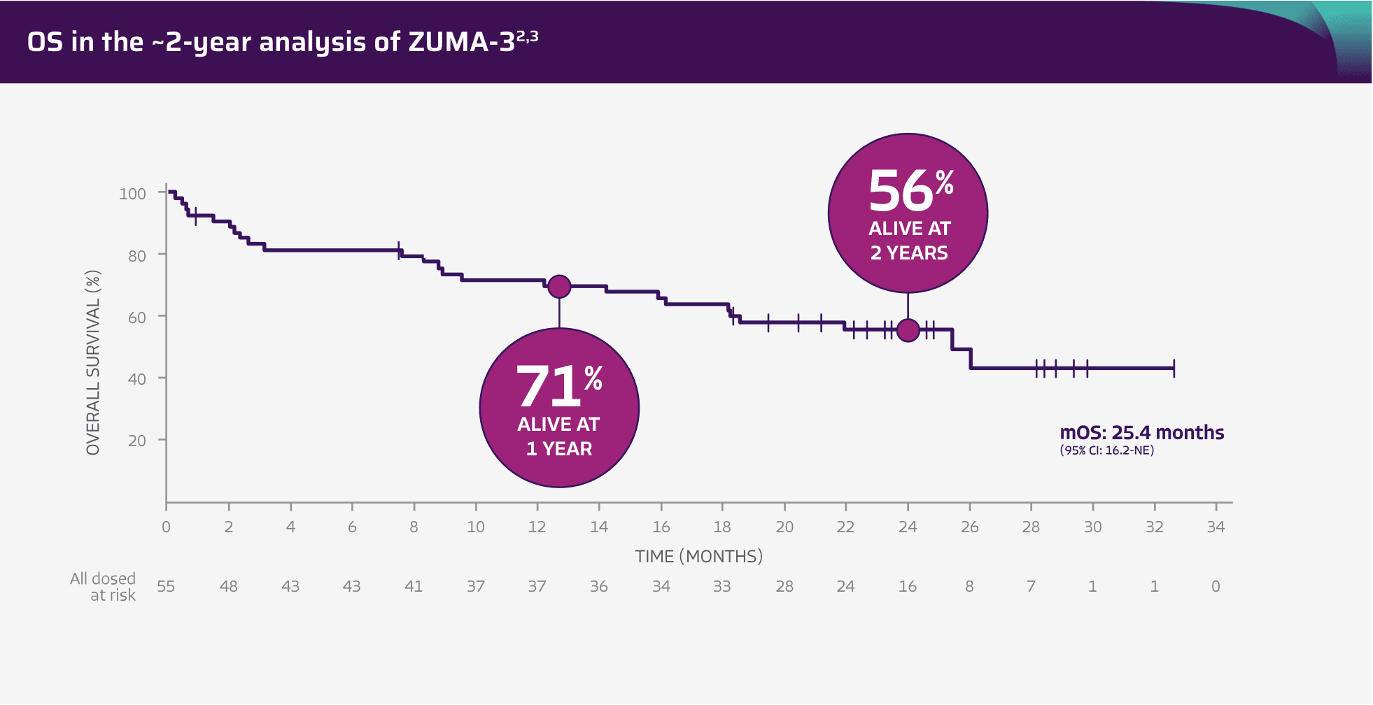 Chart showing that 46% of the participants were alive at 3 years.