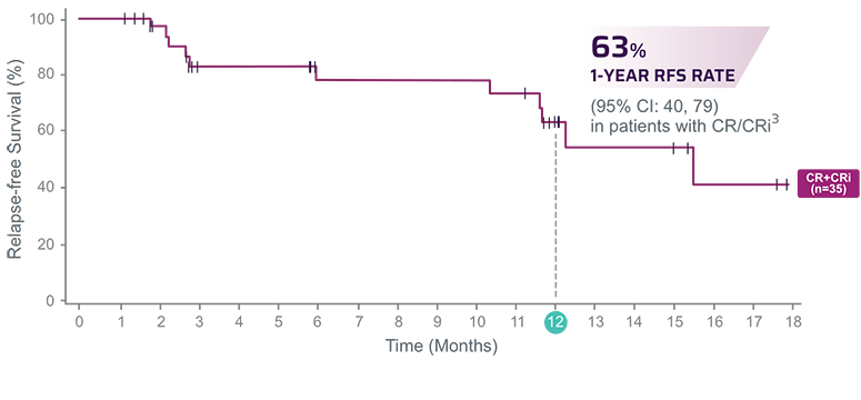 Relapse-free survival rate graph
