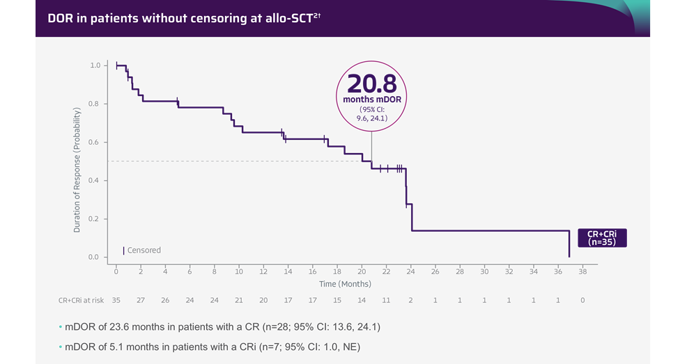Median DOR in patients without censoring at allo-SCT at a median study follow-up of 20.0 months