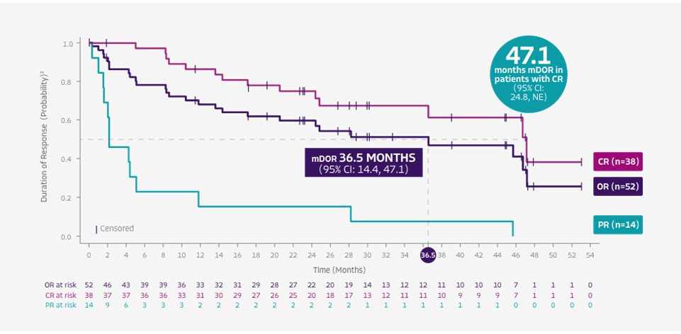 Duration of Response graph