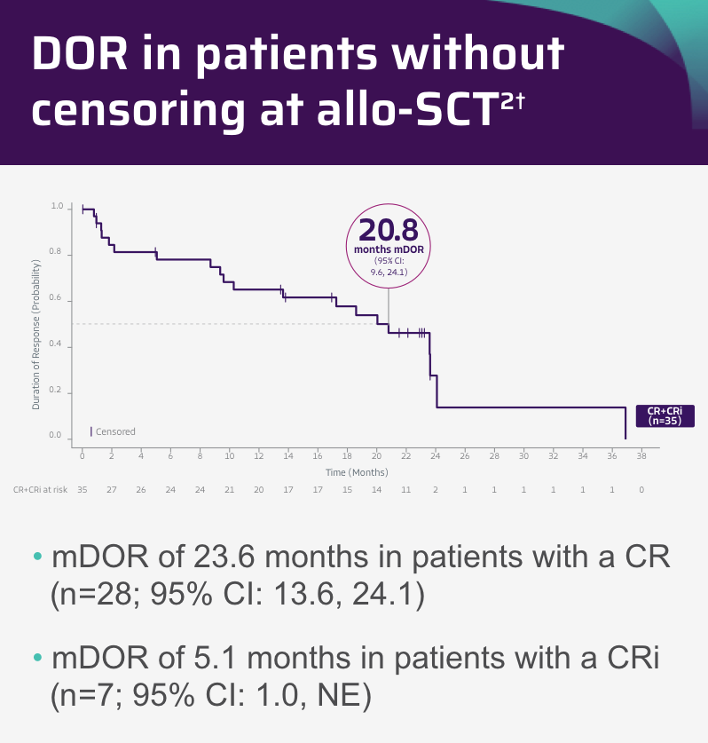 Median DOR in patients without censoring at allo-SCT