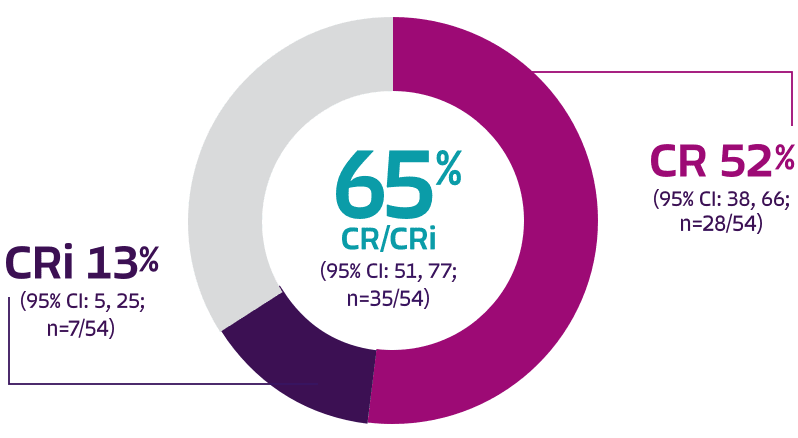 Overall complete remission rate
graph.