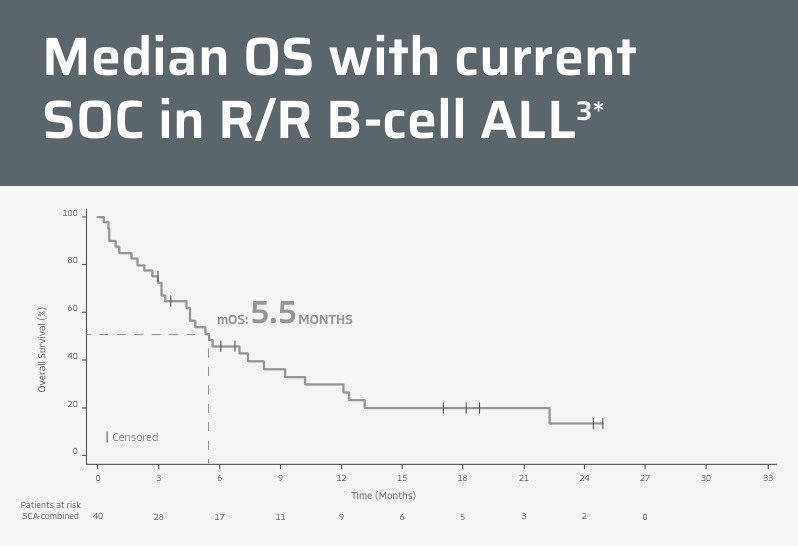 Graph of meta-analysis of OS in R/R B-cell ALL