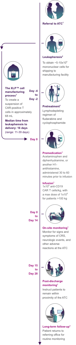 TECARTUS® Treatment Process.