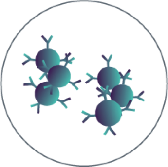Anti­-CD3 and anti-­CD28 antibodies + IL-­2 icon.