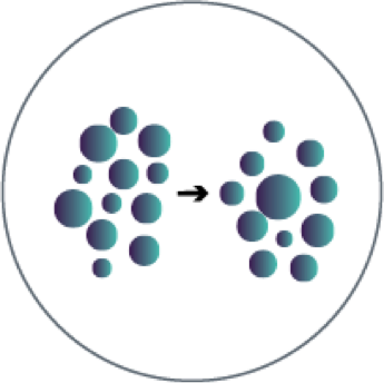 T cells.