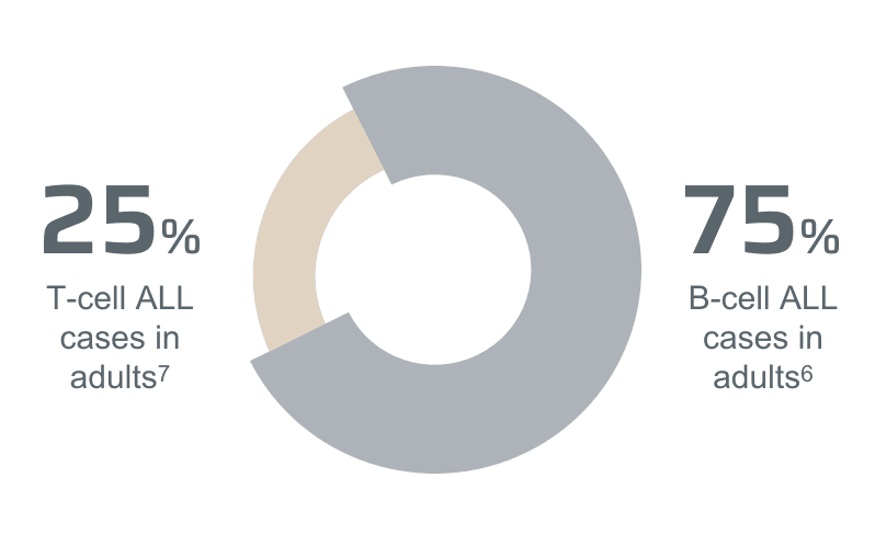 Graph of T­-cells and B­-cells in adult cases.