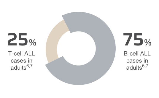 Graph of T­-cells and B­-cells in adult cases.